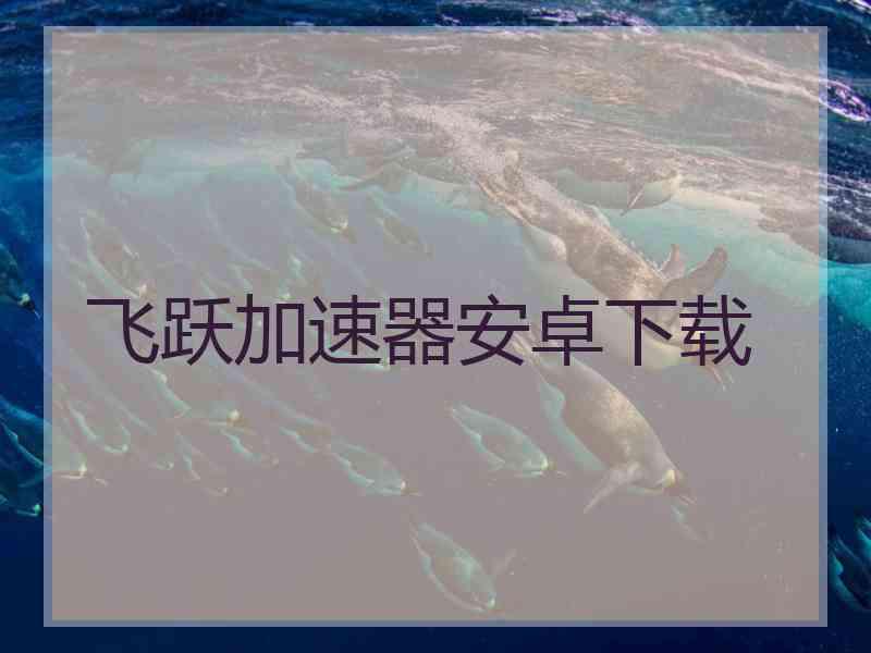 飞跃加速器安卓下载
