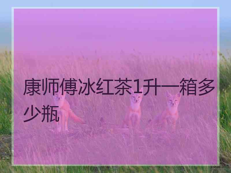 康师傅冰红茶1升一箱多少瓶