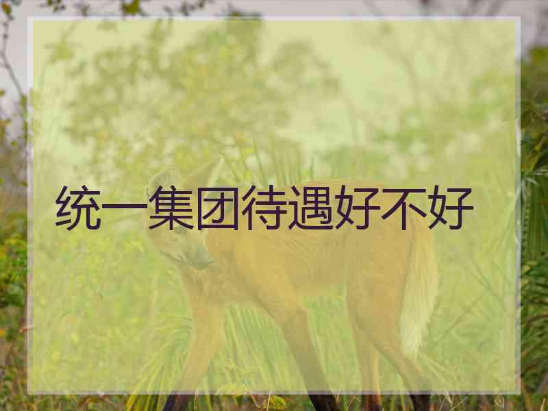 统一集团待遇好不好