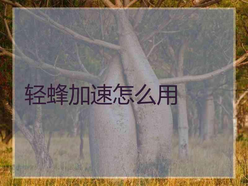 轻蜂加速怎么用