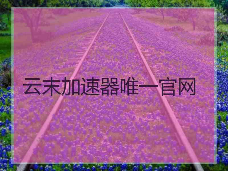 云末加速器唯一官网