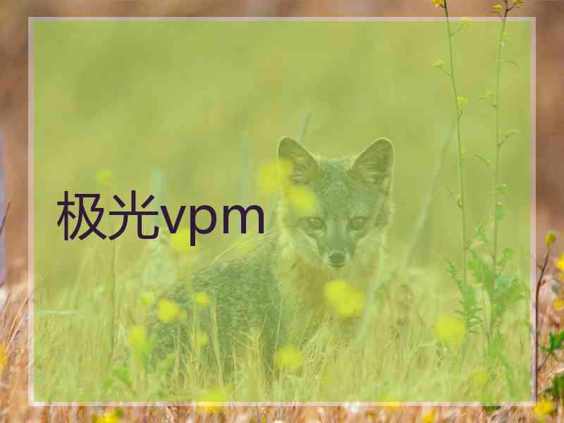 极光vpm