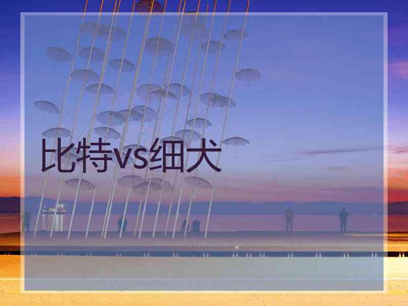 比特vs细犬