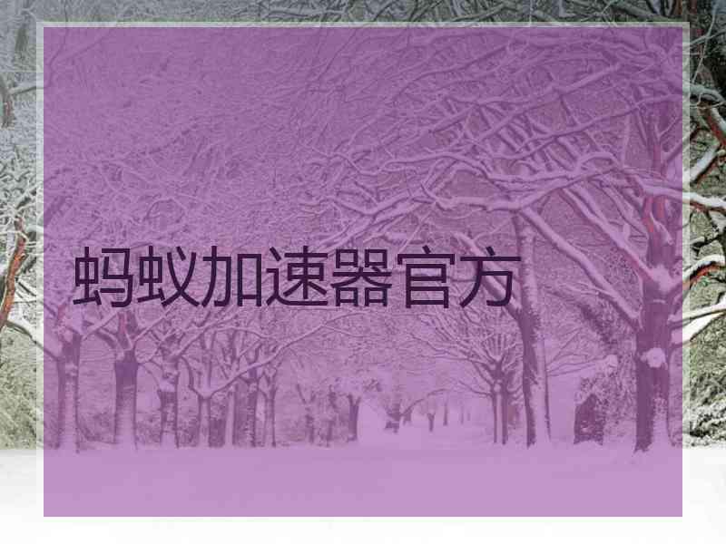 蚂蚁加速器官方