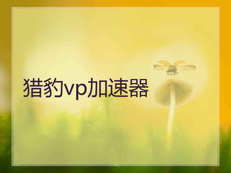 猎豹vp加速器