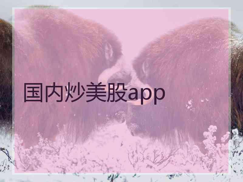 国内炒美股app