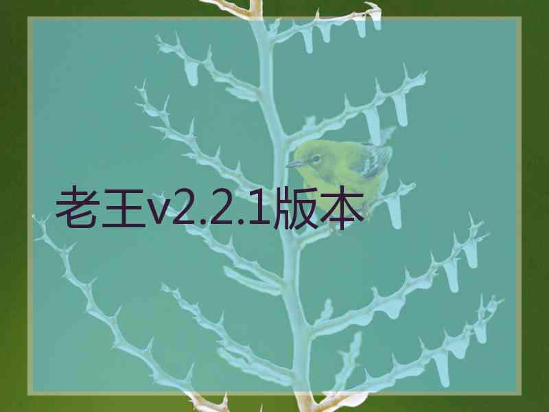 老王v2.2.1版本
