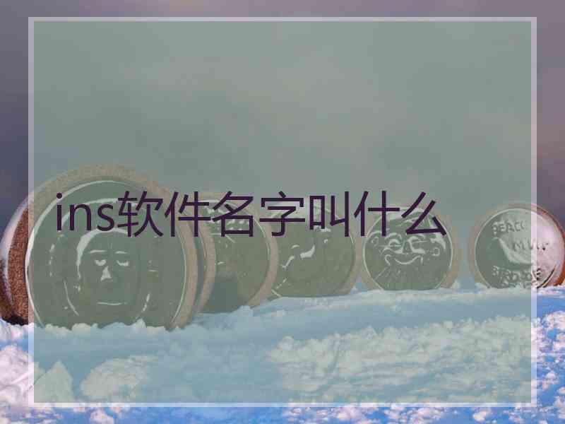 ins软件名字叫什么