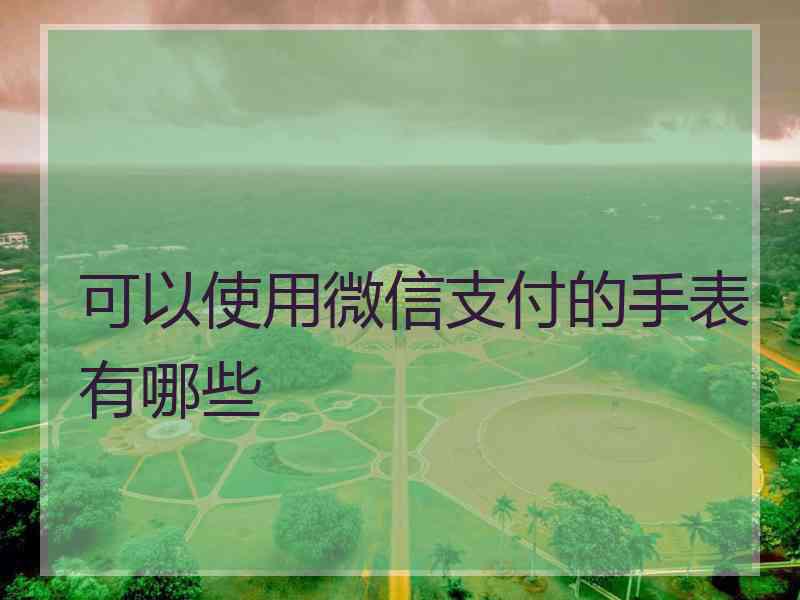 可以使用微信支付的手表有哪些