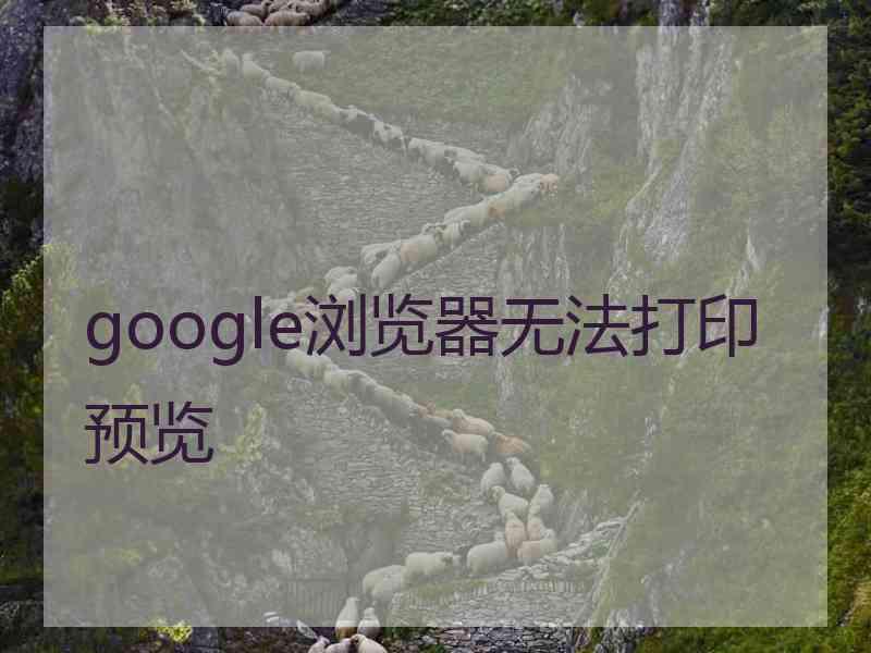 google浏览器无法打印预览