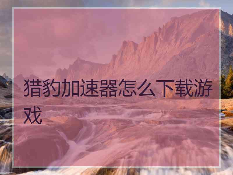 猎豹加速器怎么下载游戏