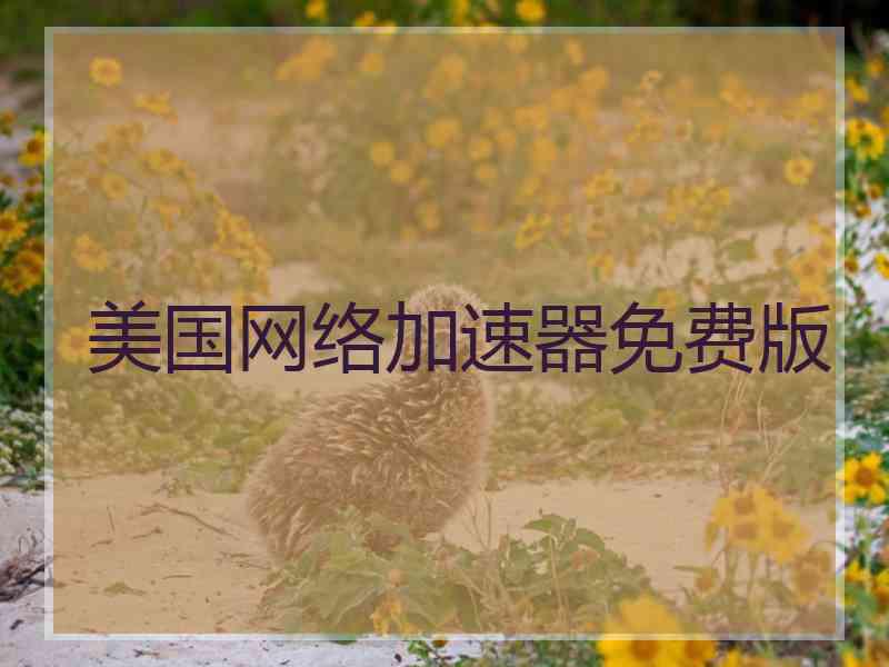 美国网络加速器免费版