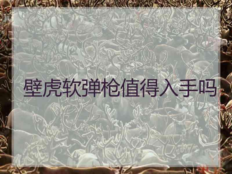 壁虎软弹枪值得入手吗