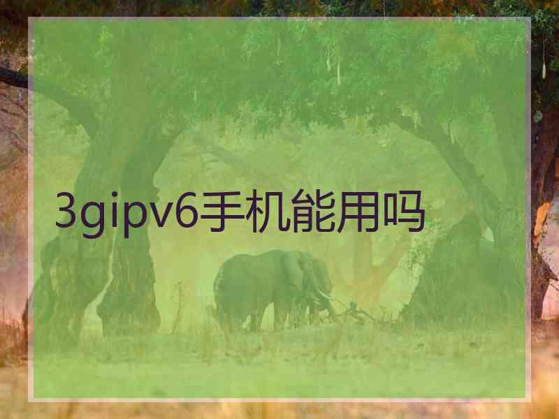 3gipv6手机能用吗