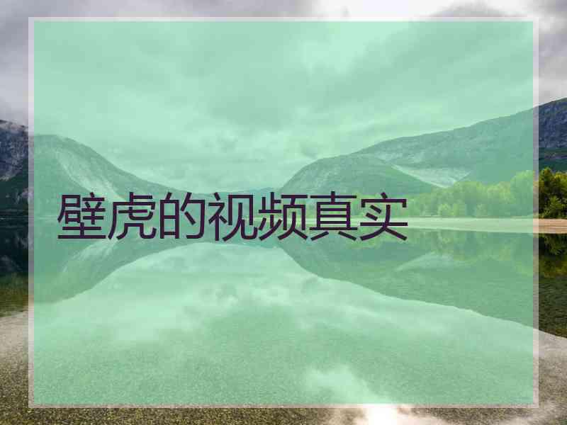 壁虎的视频真实