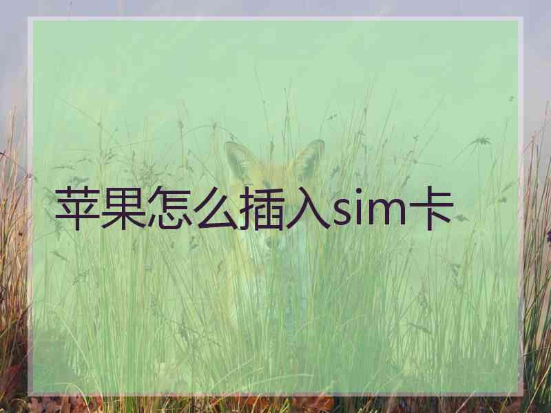 苹果怎么插入sim卡