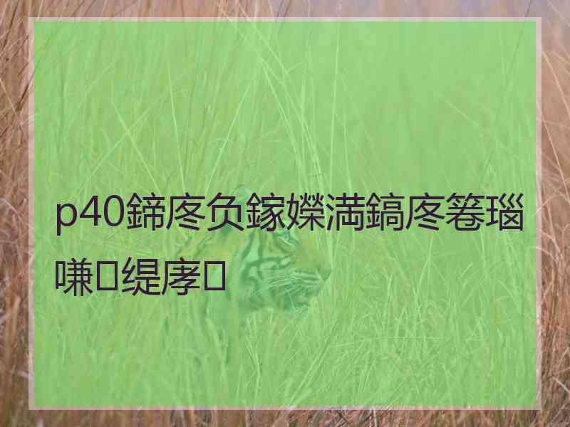 p40鍗庝负鎵嬫満鎬庝箞瑙嗛缇庨