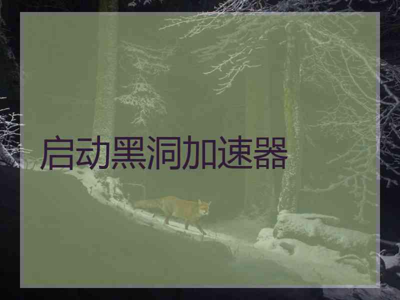 启动黑洞加速器