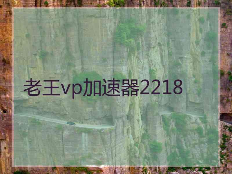 老王vp加速器2218
