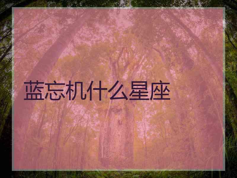 蓝忘机什么星座
