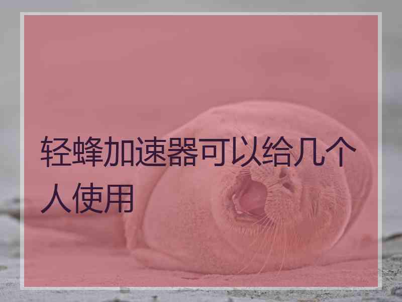 轻蜂加速器可以给几个人使用