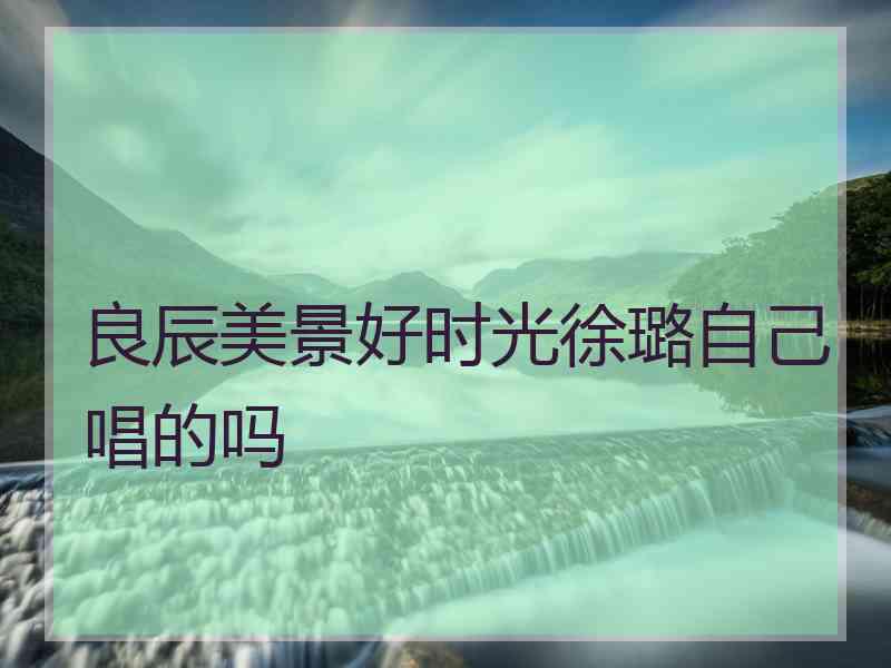 良辰美景好时光徐璐自己唱的吗