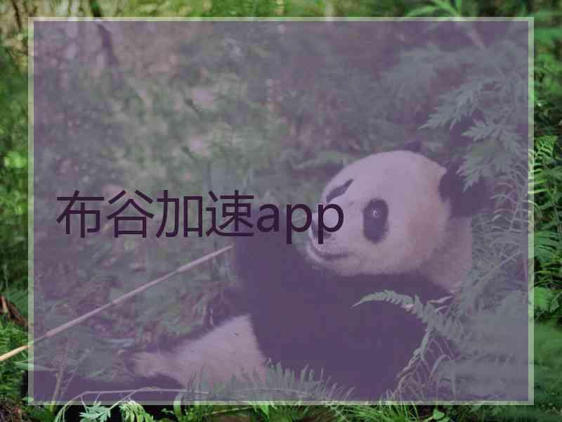 布谷加速app