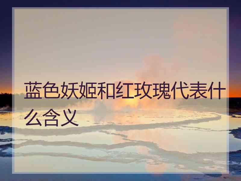 蓝色妖姬和红玫瑰代表什么含义