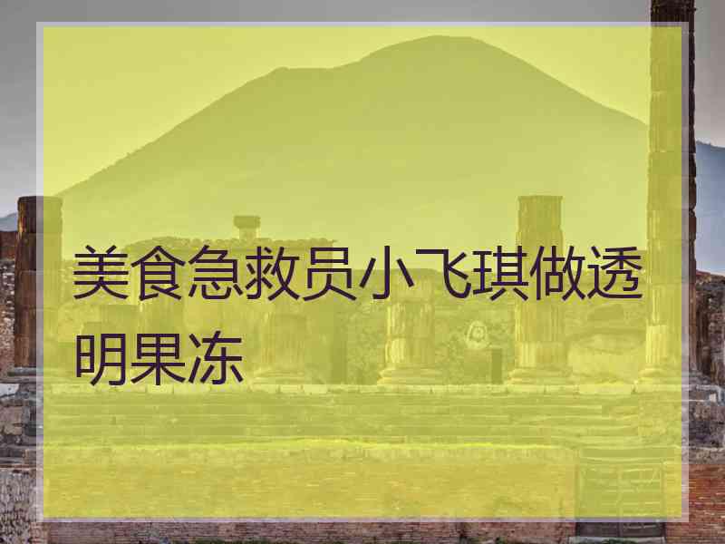 美食急救员小飞琪做透明果冻