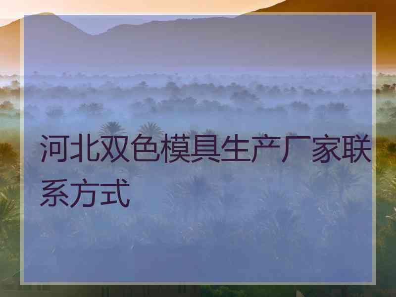 河北双色模具生产厂家联系方式