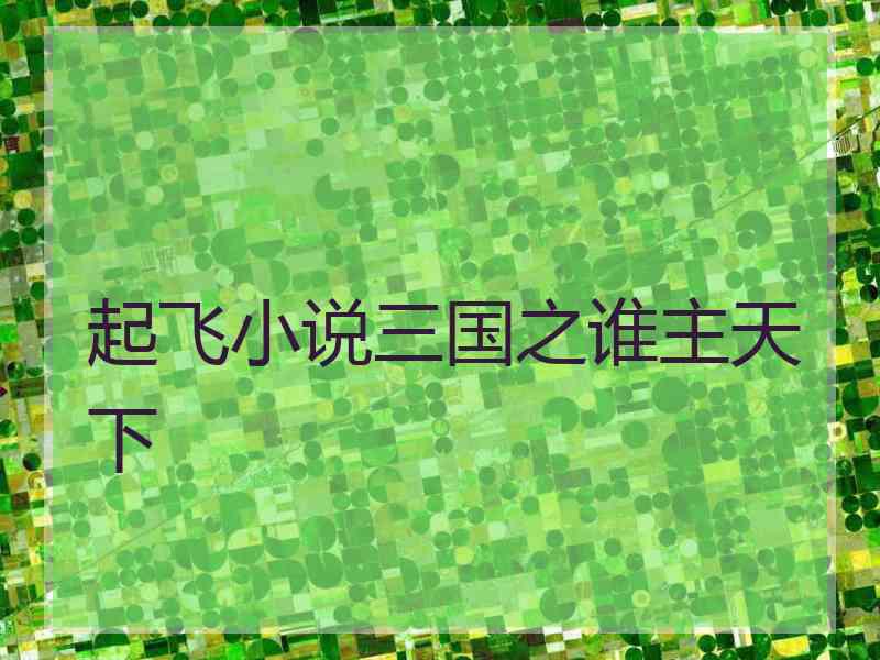 起飞小说三国之谁主天下