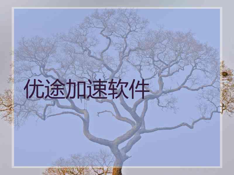 优途加速软件