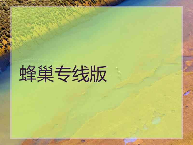 蜂巢专线版