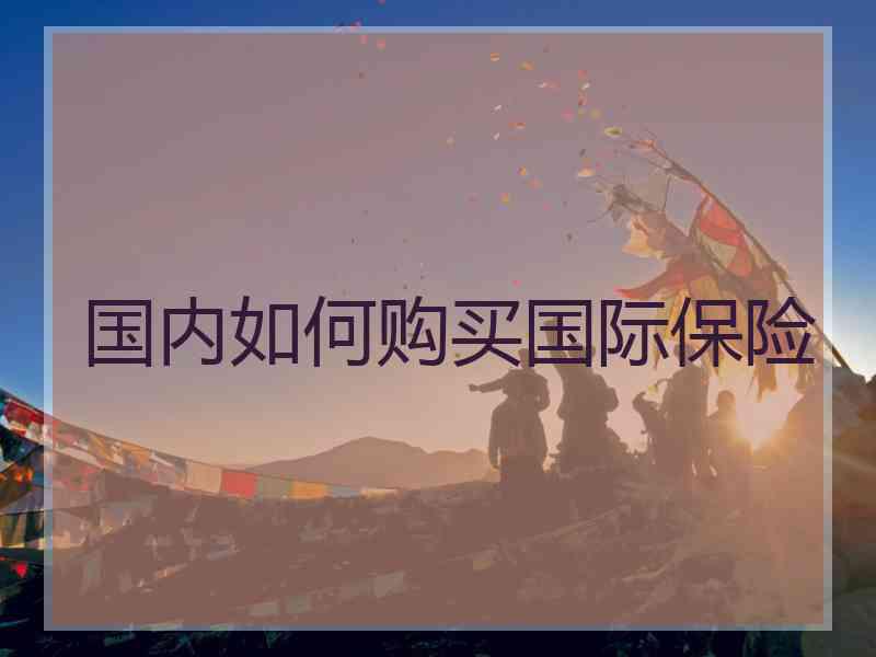 国内如何购买国际保险