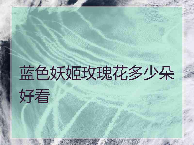 蓝色妖姬玫瑰花多少朵好看