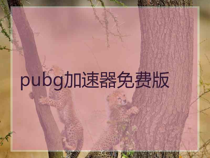pubg加速器免费版