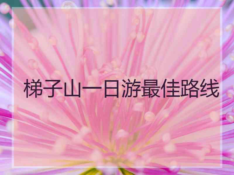 梯子山一日游最佳路线