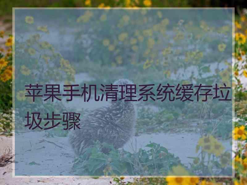 苹果手机清理系统缓存垃圾步骤