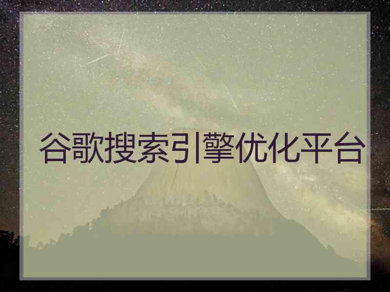 谷歌搜索引擎优化平台