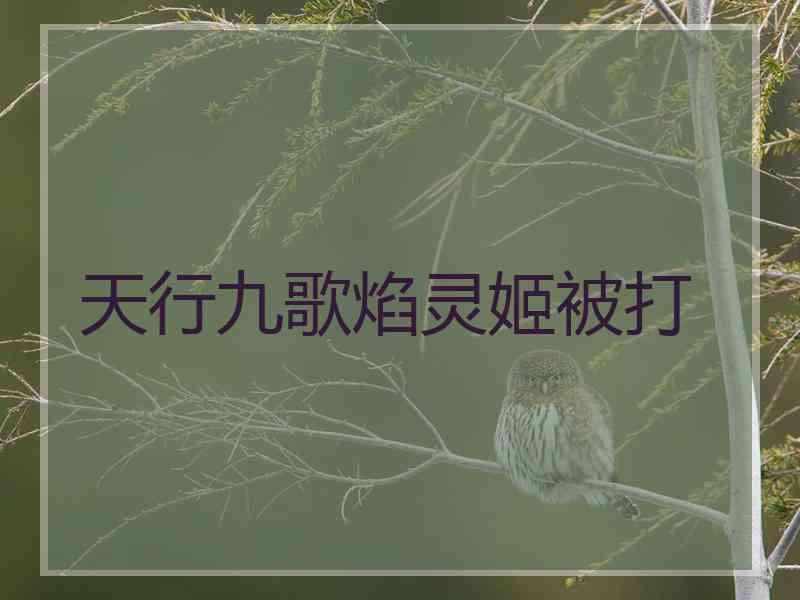 天行九歌焰灵姬被打