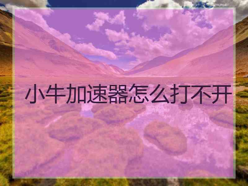 小牛加速器怎么打不开