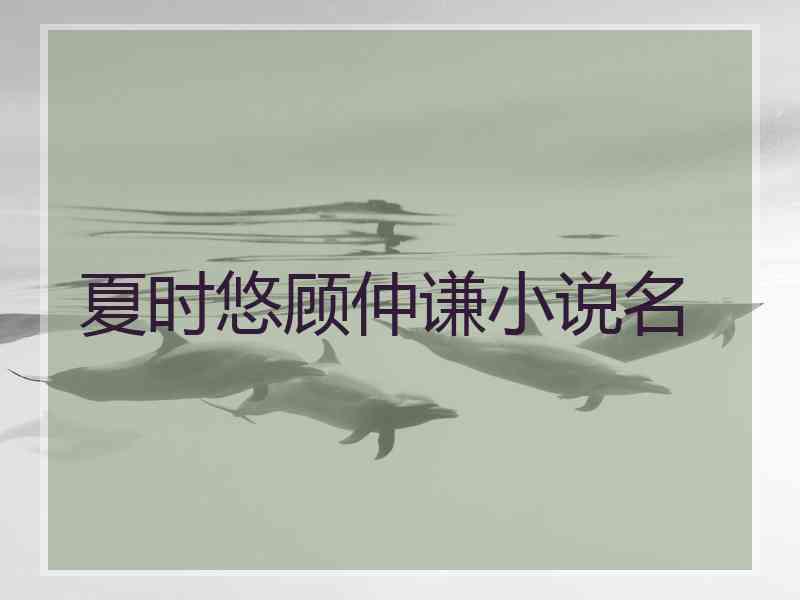 夏时悠顾仲谦小说名