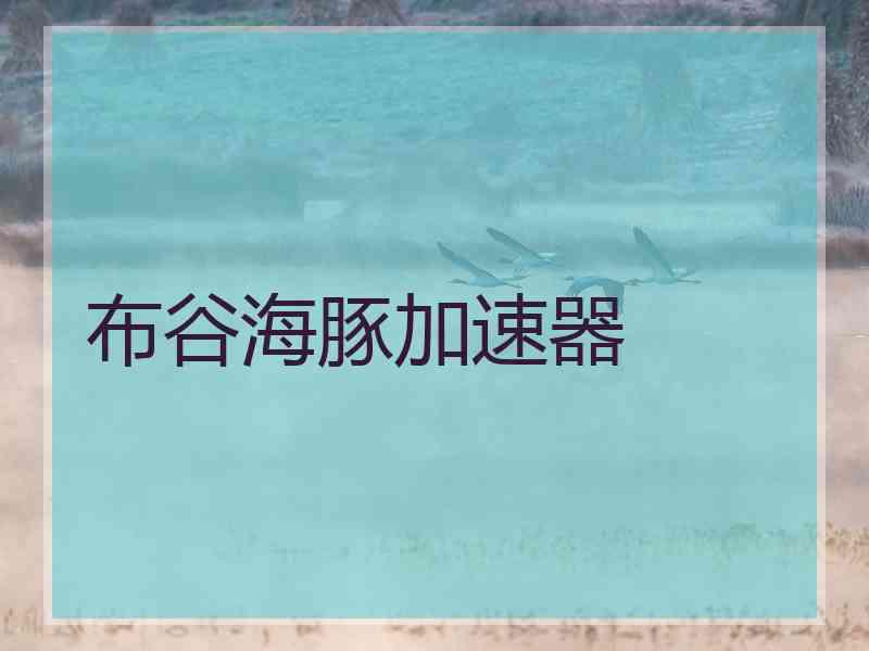 布谷海豚加速器