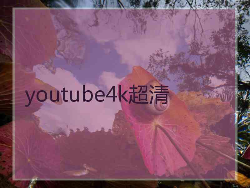 youtube4k超清