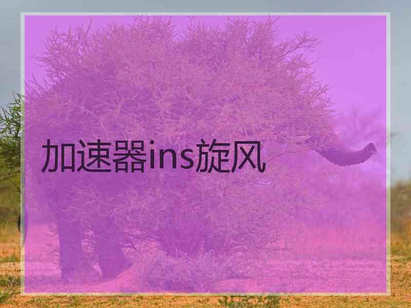 加速器ins旋风