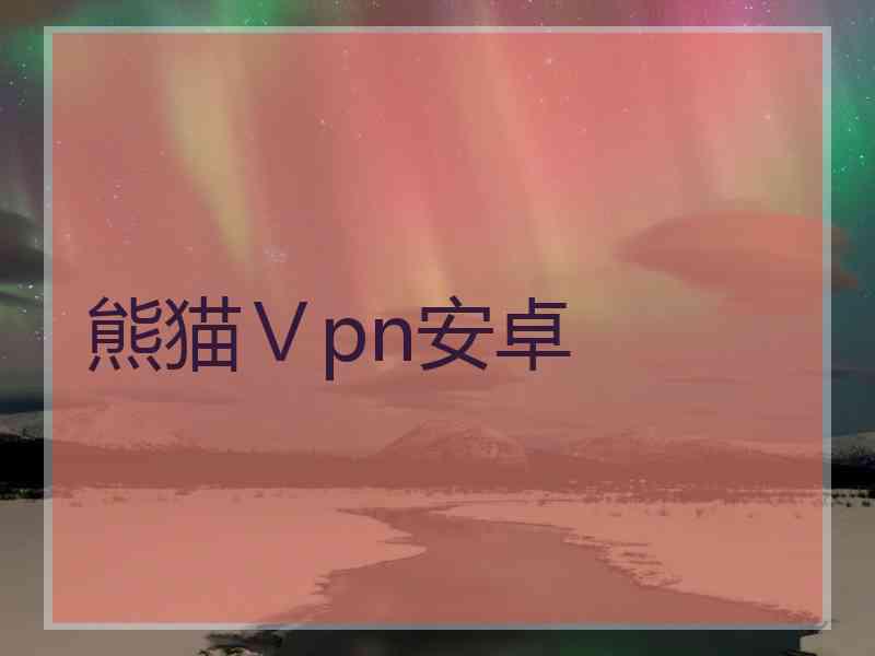 熊猫Ⅴpn安卓