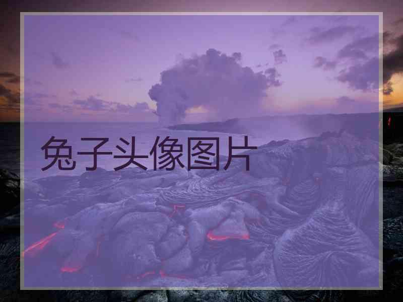 兔子头像图片