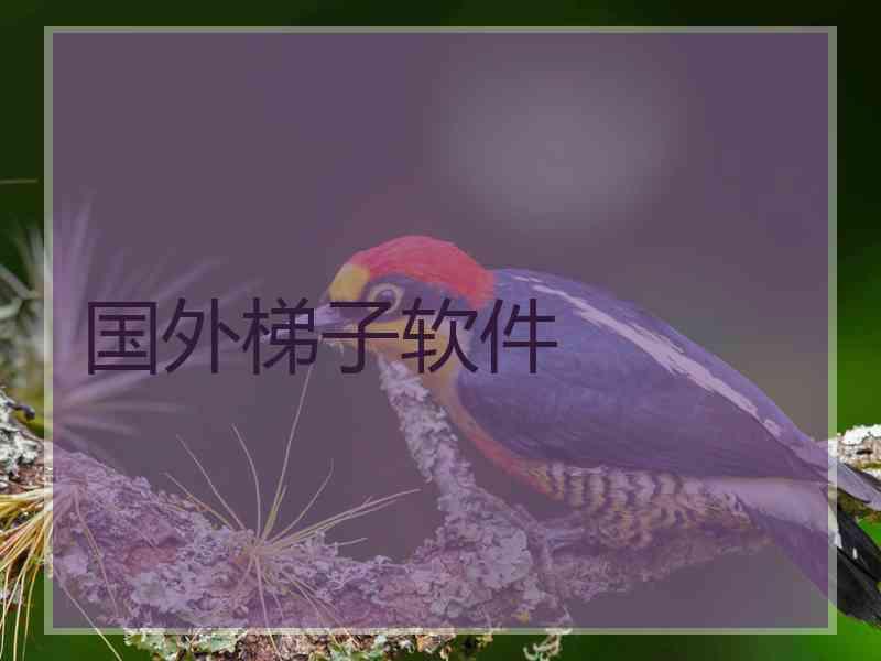 国外梯子软件