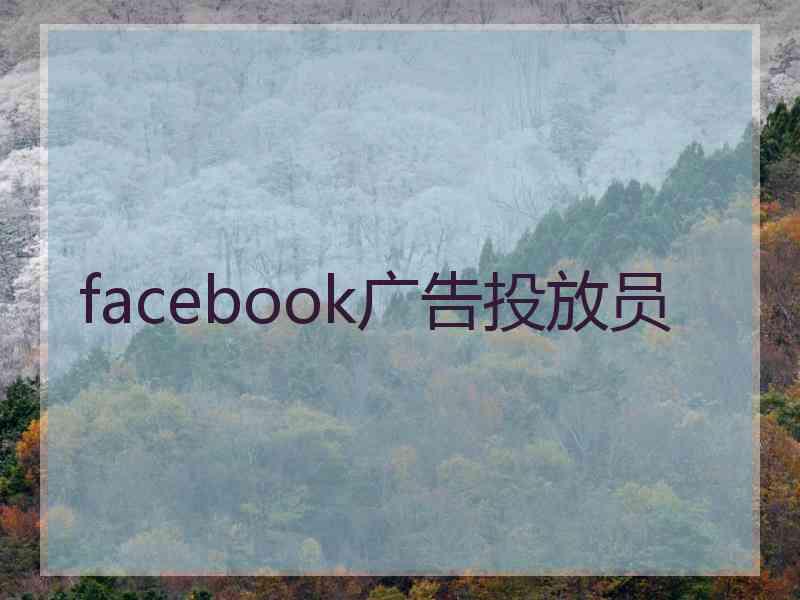 facebook广告投放员