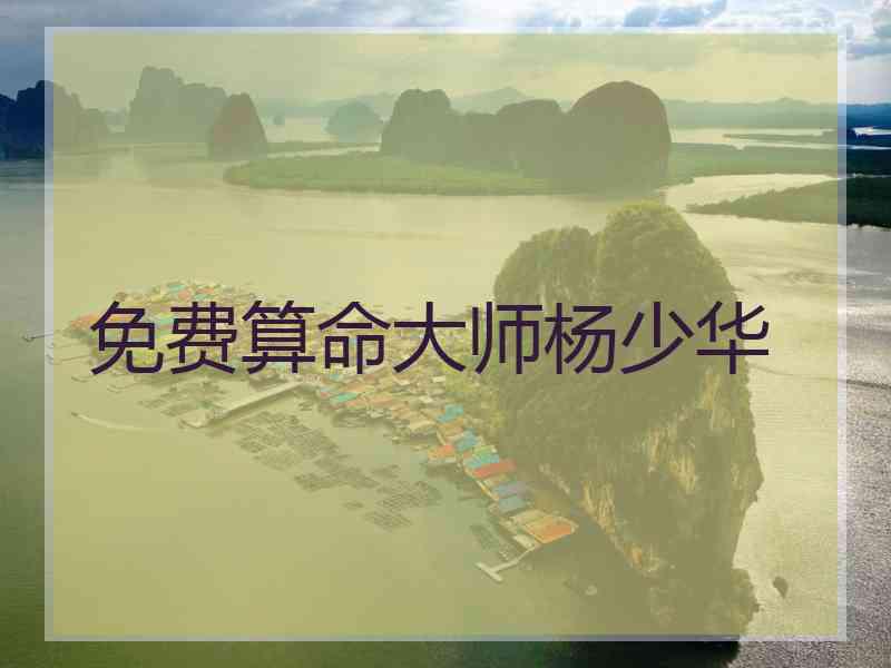 免费算命大师杨少华